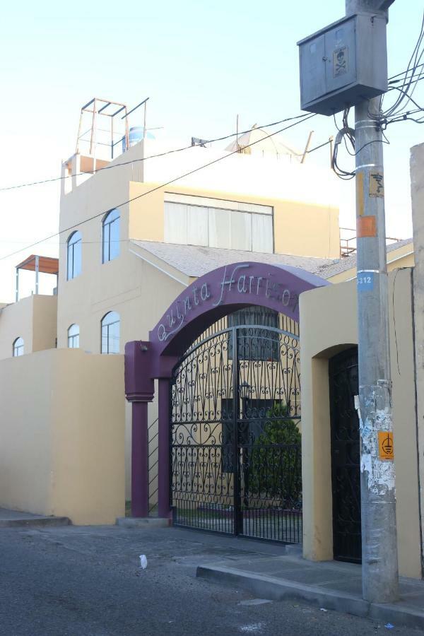 Hostal Mochileros 塔克纳 外观 照片